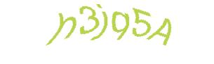 عبارت امنیتی