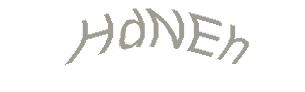 عبارت امنیتی