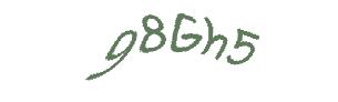 عبارت امنیتی