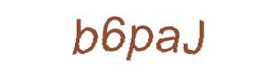 عبارت امنیتی