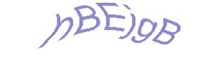 عبارت امنیتی