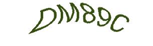 عبارت امنیتی