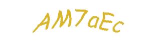 عبارت امنیتی