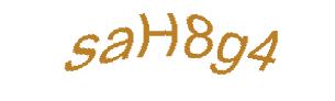 عبارت امنیتی
