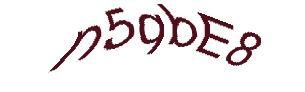 عبارت امنیتی