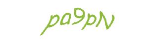 عبارت امنیتی