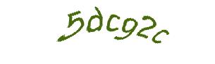 عبارت امنیتی
