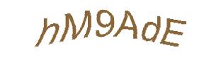 عبارت امنیتی