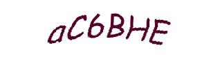 عبارت امنیتی