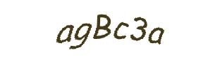 عبارت امنیتی