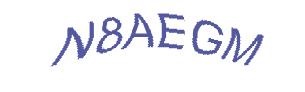 عبارت امنیتی
