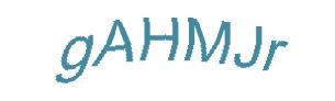 عبارت امنیتی