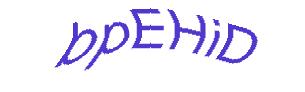 عبارت امنیتی