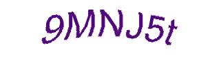 عبارت امنیتی