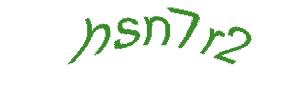 عبارت امنیتی