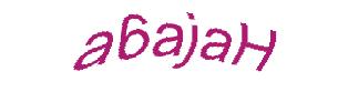 عبارت امنیتی