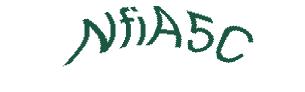 عبارت امنیتی