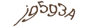 عبارت امنیتی