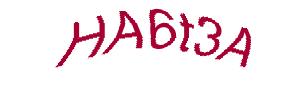 عبارت امنیتی