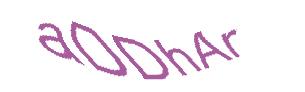 عبارت امنیتی