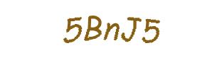 عبارت امنیتی