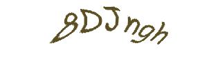 عبارت امنیتی