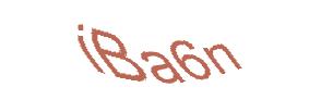 عبارت امنیتی