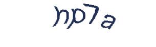 عبارت امنیتی