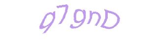 عبارت امنیتی