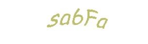 عبارت امنیتی