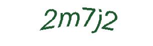عبارت امنیتی