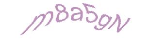عبارت امنیتی