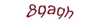 عبارت امنیتی