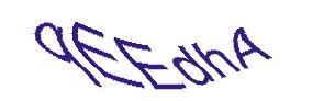 عبارت امنیتی