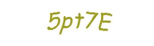 عبارت امنیتی
