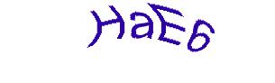 عبارت امنیتی