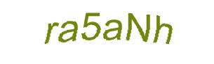 عبارت امنیتی