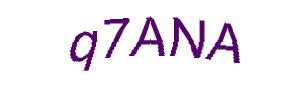 عبارت امنیتی