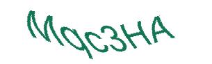 عبارت امنیتی