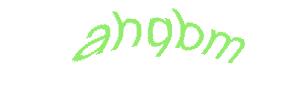 عبارت امنیتی