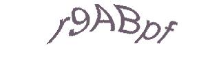 عبارت امنیتی