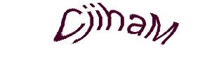 عبارت امنیتی
