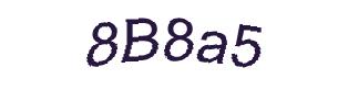 عبارت امنیتی
