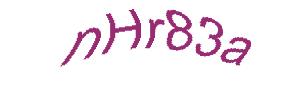 عبارت امنیتی