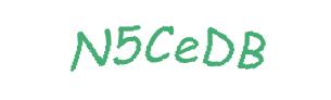 عبارت امنیتی