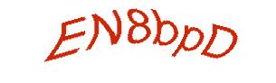 عبارت امنیتی