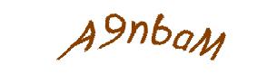عبارت امنیتی