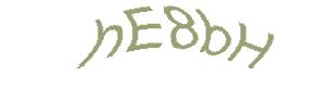 عبارت امنیتی