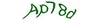 عبارت امنیتی