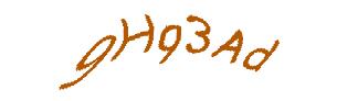 عبارت امنیتی